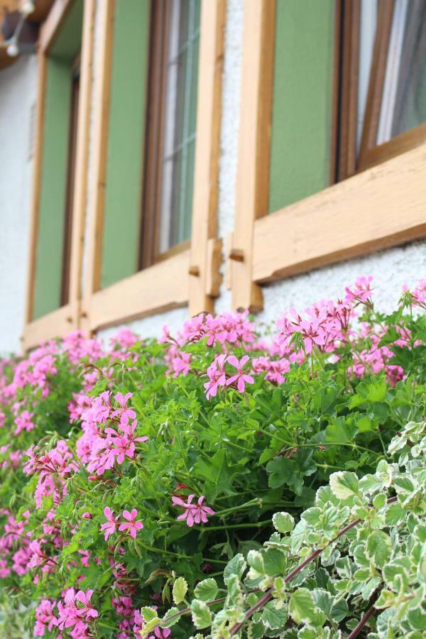 Landgasthof Ritter Orsingen-Nenzingen ภายนอก รูปภาพ